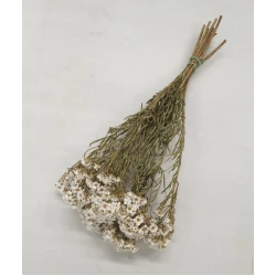 IXODIA NATURAL 1/2 BOPP/kraft Small packaging