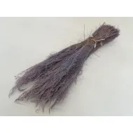 AGROSTIS NEBULOSA CLOUD GRASS LILAC +/-50GR BOPP/kraft Small packaging