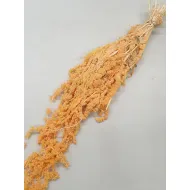 AMARANTHUS CAUDATUS PRESERVED MELON BOPP/kraft Small packaging