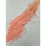 AMARANTHUS CAUDATUS PRESERVED PINK BOPP/kraft Small packaging