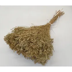 BROOM BLOOM NATURAL +/-100GR BOPP/kraft Small packaging