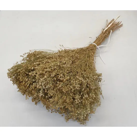 BROOM BLOOM NATURAL +/-100GR BOPP/kraft