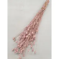 CENTAUREA PEARL PINK +/-100GR BOPP/kraft hobbyverpakking