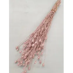 CENTAUREA PEARL PINK +/-100GR BOPP/kraft Small packaging