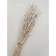 CENTAUREA PEARL WHITE +/-100GR BOPP/kraft Small packaging