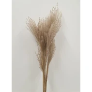 FLUFFY REED NATUREL 10ST BOPP/kraft hobbyverpakking