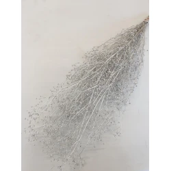 GYPSOPHILA WILD CHAMPAGNE BOPP/kraft Small packaging