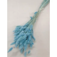 LAGURUS OVATUS AQUAMARIN +/-100GR BOPP/kraft Small packaging