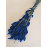 LAGURUS OVATUS BLUE +/-100GR BOPP/kraft Small packaging