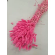 LAGURUS OVATUS FUCHSIA +/-50GR BOPP/kraft hobbyverpakking