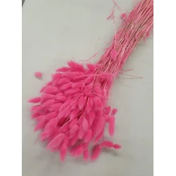 LAGURUS OVATUS FUCHSIA +/-50GR BOPP/kraft Small packaging