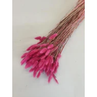 LAGURUS OVATUS MAUVE +/-100GR BOPP/kraft Small packaging