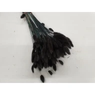 LAGURUS OVATUS NOIR +/-50GR BOPP/kraft emballage hobby