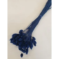 PHALARIS BLAUW +/-100GR BOPP/kraft hobbyverpakking