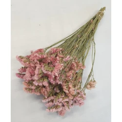 STATICE SINUATA APRICOT NATURAL BOPP/kraft Small packaging