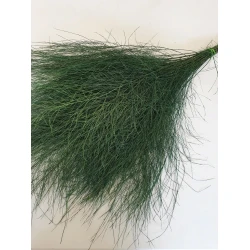 TIKI PRESERVED GREEN 25PCS BOPP/kraft Small packaging