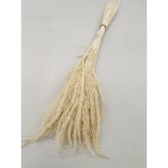 WILD GRASS BLANCHI +/-75GR BOPP/kraft emballage hobby