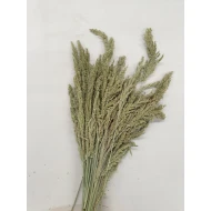 WILD GRASS NATUREL +/-75GR BOPP/kraft emballage hobby