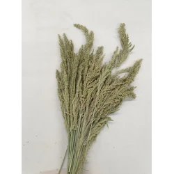 WILD GRASS NATURAL +/-75GR BOPP/kraft Small packaging