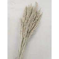 WILD GRASS WHITE WASH +/-75GR BOPP/kraft emballage hobby