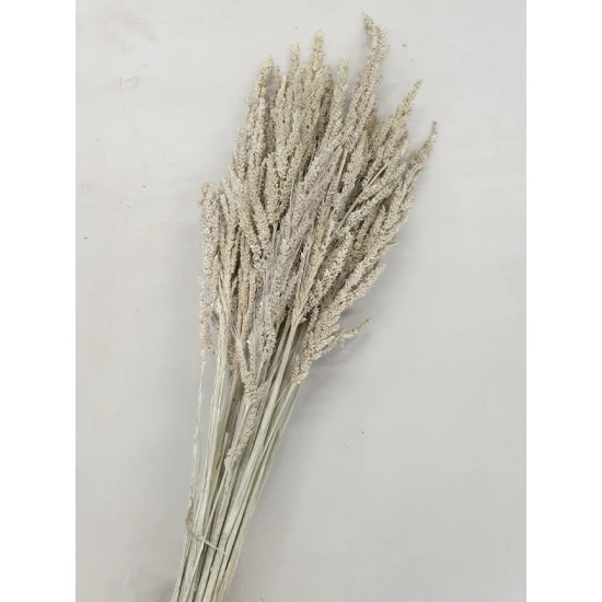 WILD GRASS WHITE WASH +/-75GR BOPP/kraft