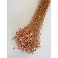 BOTAO BRANCO MELONE +/-100GR BOPP/kraft emballage hobby