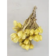 CAPBLUMEN LARGE 30CM  GEEL  +/-50GR BOPP/kraft hobbyverpakking