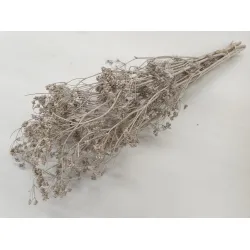 CARUM CARVI TAUPE BOPP/kraft Small packaging