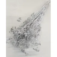 CARUM CARVI WIT BOPP/kraft hobbyverpakking