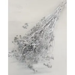 CARUM CARVI WHITE BOPP/kraft Small packaging