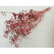 CARUM CARVI BORDEAUX BOPP/kraft hobbyverpakking