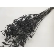 CARUM CARVI BLACK BOPP/kraft Small packaging