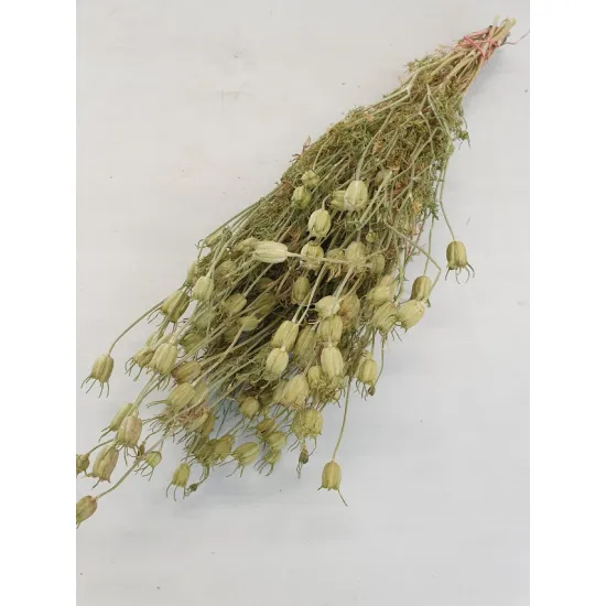 CENTAUREA GREEN NATURAL BOPP/kraft