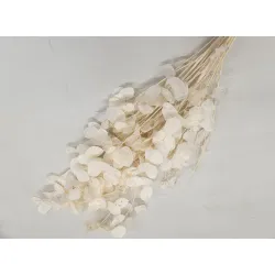 HONESTY BLEACHED BOPP/kraft Small packaging