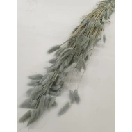 LAGURUS OVATUS ICE GREEN +/-50GR BOPP/kraft Small packaging