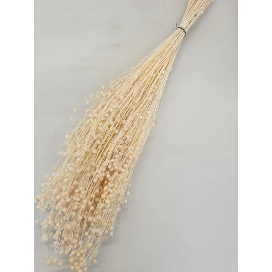 LINUM (VLAS) GEBLEEKT +/-100GR BOPP/kraft