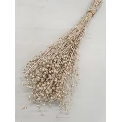 LINUM (FLAX) PEARL WHITE +/-100GR BOPP/kraft Small packaging