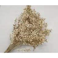 RUSCUS OR +/-100GR BOPP/kraft emballage hobby