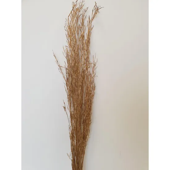 SARASH BUNCH GOLD +/-110CM +/-100GR BOPP/kraft