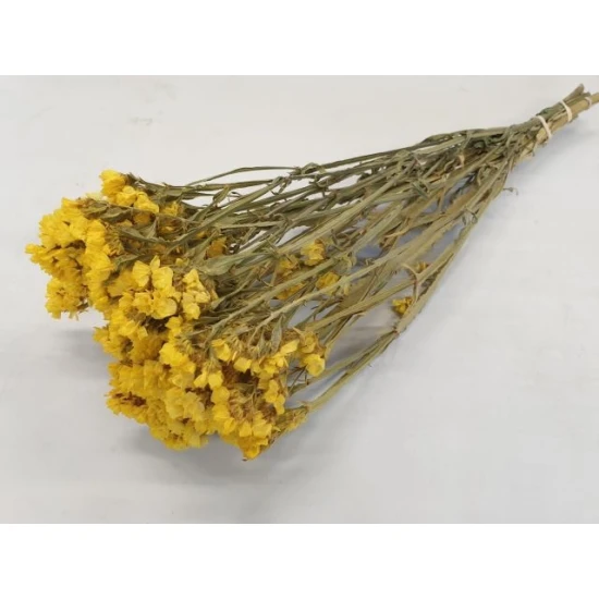 STATICE SINUATA JAUNE NATUREL BOPP/kraft