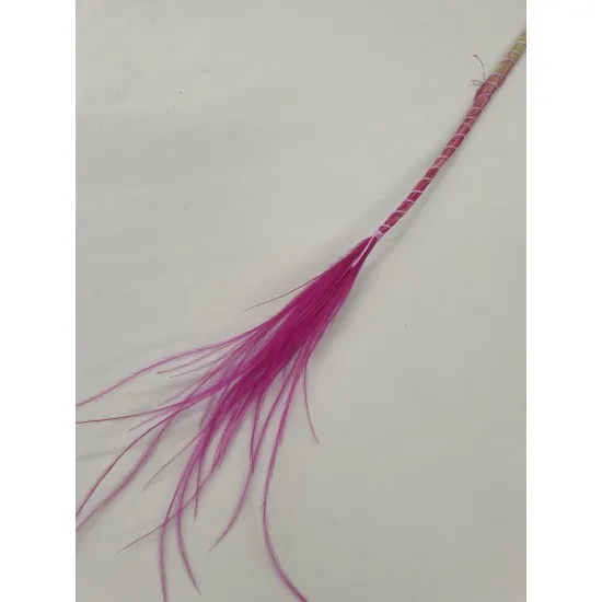 STYPHA PENATA LARGE FUCHSIA BOPP/kraft