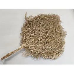 BRACKEN GOLD 10PCS BOPP/kraft Small packaging