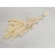 AMARANTHUS CAUDATUS PRESERVED BLEACHED BOPP/kraft Small packaging