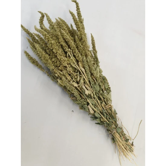 AMARANTHUS GREEN NATURAL BOPP/kraft