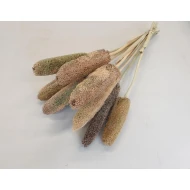 BABALA NATUREL 55CM 10PCS BOPP/kraft emballage hobby