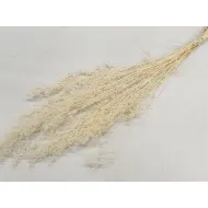 BRIZONNE BLEACHED BOPP/kraft Small packaging