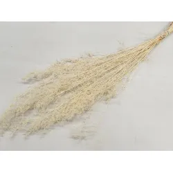 BRIZONNE BLEACHED BOPP/kraft Small packaging