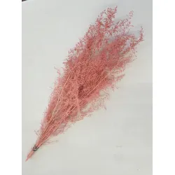 BRIZONNE POWDER PINK BOPP/kraft Small packaging