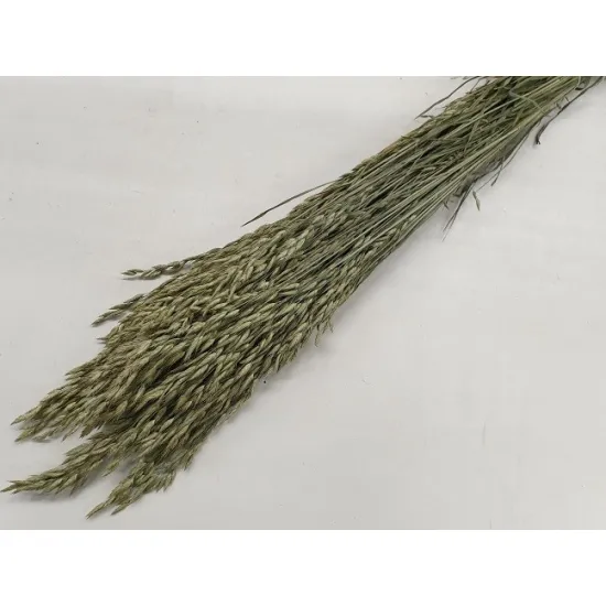 BROMUS SECALINUS NATUREL BOPP/kraft