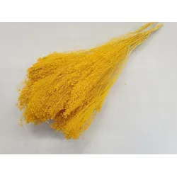 BROOM BLOOM YELLOW +/-100GR BOPP/kraft Small packaging
